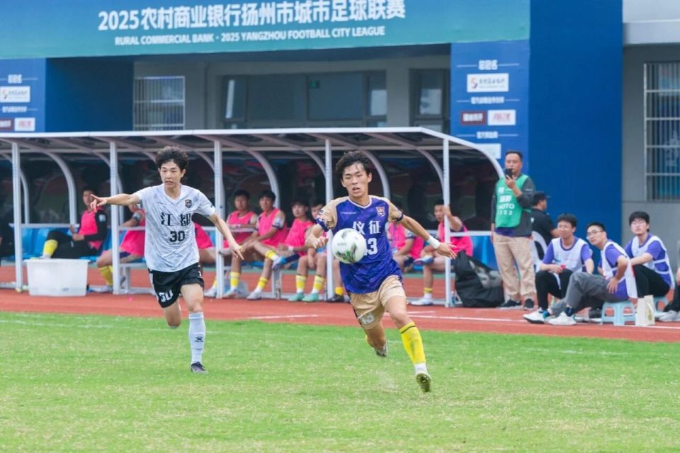 data, iPPEW, 你看这周边 data, iPPEW, 你看这周边